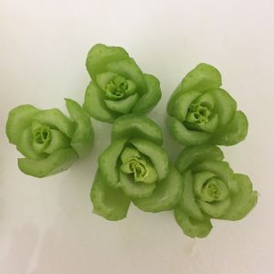 小松菜,アートな野菜,多肉っぽい,食べられる植物のフォトコンテスト,キッチンの画像