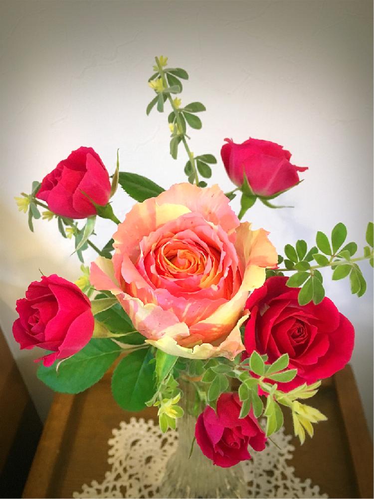 バラを楽しむの投稿画像 By M Gardenさん 今日の一枚と切り花とフィスタとアリシアと玄関と玄関に飾る花 とバラを楽しむと今日の一枚と切り花と玄関に飾る花 16月11月1日 Greensnap グリーンスナップ Greensnap グリーンスナップ バラを楽しむの投稿画像 By M Gardenさん 今日の一枚と切り花とフィスタとアリシアと玄関と玄関に飾る花 とバラを楽しむと今日の一枚と切り花と玄関に飾る花 16月11月1日 Greensnap グリーンスナップ Greensnap グリーンスナップ