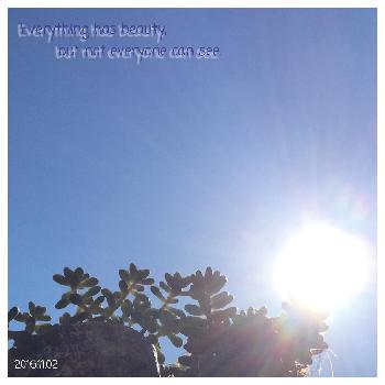 雲の向こうはいつも青空の投稿画像一覧 Greensnap グリーンスナップ