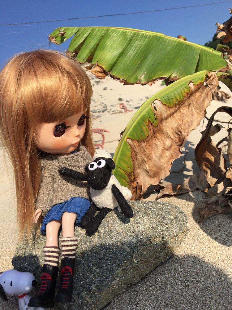 お出かけ先の投稿画像 By Bakecafe Nicheさん スヌーピーとお外でとブライス と海へと今日の一枚と植物とフィギュアとひつじのショーンとスヌーピーとお外でとブライスと海へと今日の一枚と植物とフィギュアとひつじのショーン 16月11月6日 Greensnap グリーン