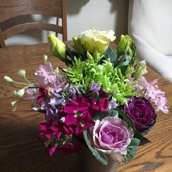 カラーバイオレットの画像 by マーガレットさん | 部屋とカラーグリーンとカラーピンクと花瓶入れただけとカラーホワイトと今日の一枚と今日のお花とカラーバイオレットとナチュラルスタイルといつもの食卓と切り花とフラワーアレンジメントと葉ボタンコンテスト