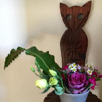 カラーピンクの画像 by マーガレットさん | 部屋とカラーグリーンとカラーピンクと花瓶入れただけとカラーホワイトと今日の一枚と今日のお花とカラーバイオレットとナチュラルスタイルと切り花