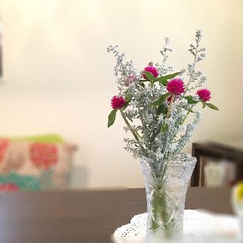 コチアの画像 by hiromiさん | 部屋とセンニチコウとコチアとブーケとフラワーアレンジメントと切り花