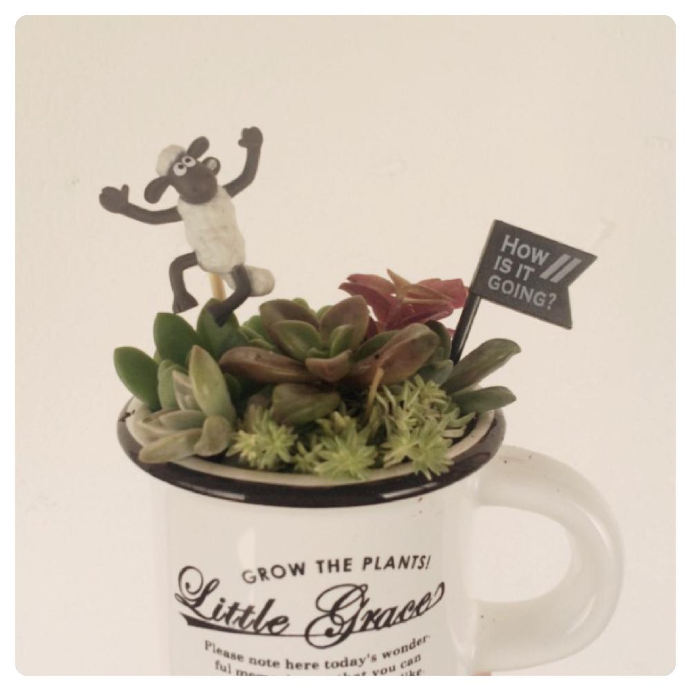 手作りの投稿画像 By がんｑさん 多肉植物と100均diyと手作りガーデンピック と寄せ植えと置物と一緒とハロウィンと多肉植物寄せ植えと可愛い多肉ちゃん とガチャポン と可愛い植木鉢と多肉寄せ植えと多肉多肉多肉と俺の多肉植物とガチャガチャ 16月11月28日