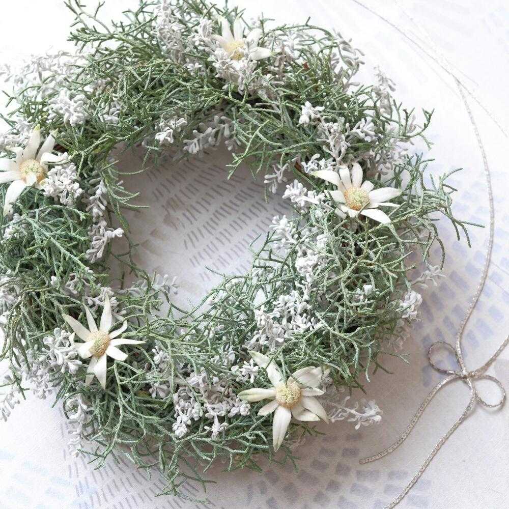 ホワイトクリスマスリース　コットン　シロタエギク ホワイトリースの教室 20名様限定！ | ナチュラルワンダー