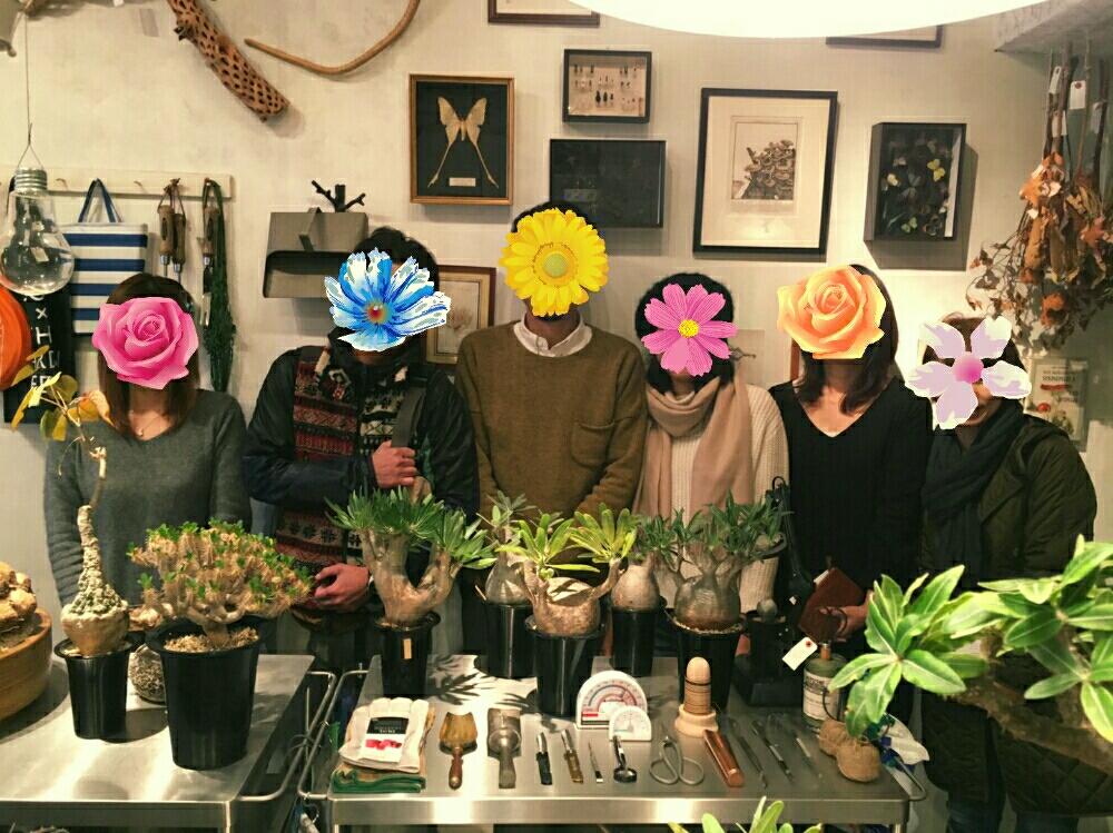 お出かけ先の投稿画像 By エフクオーレ都島店さん 多肉植物とリトプスとエフクオーレと植中毒と今日の一枚と珍奇植物と暴れ多肉とユーフォルビアと多肉植物と リトプスとエフクオーレと植中毒と今日の一枚と珍奇植物と暴れ多肉とユーフォルビア 16月12月11日 お出かけ先の投稿画像 By エフクオーレ都島店さん 多肉植物とリトプスとエフクオーレと植中毒と今日の一枚と珍奇植物と暴れ多肉とユーフォルビアと多肉植物と リトプスとエフクオーレと植中毒と今日の一枚と珍奇植物と暴れ多肉とユーフォルビア 16月12月11日