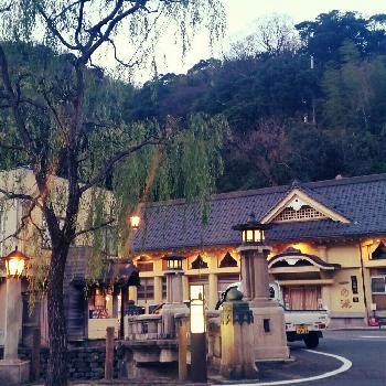 城崎温泉の画像 by mihohoさん | お出かけ先とヤナギとゆらゆらと城崎温泉と今日の一枚