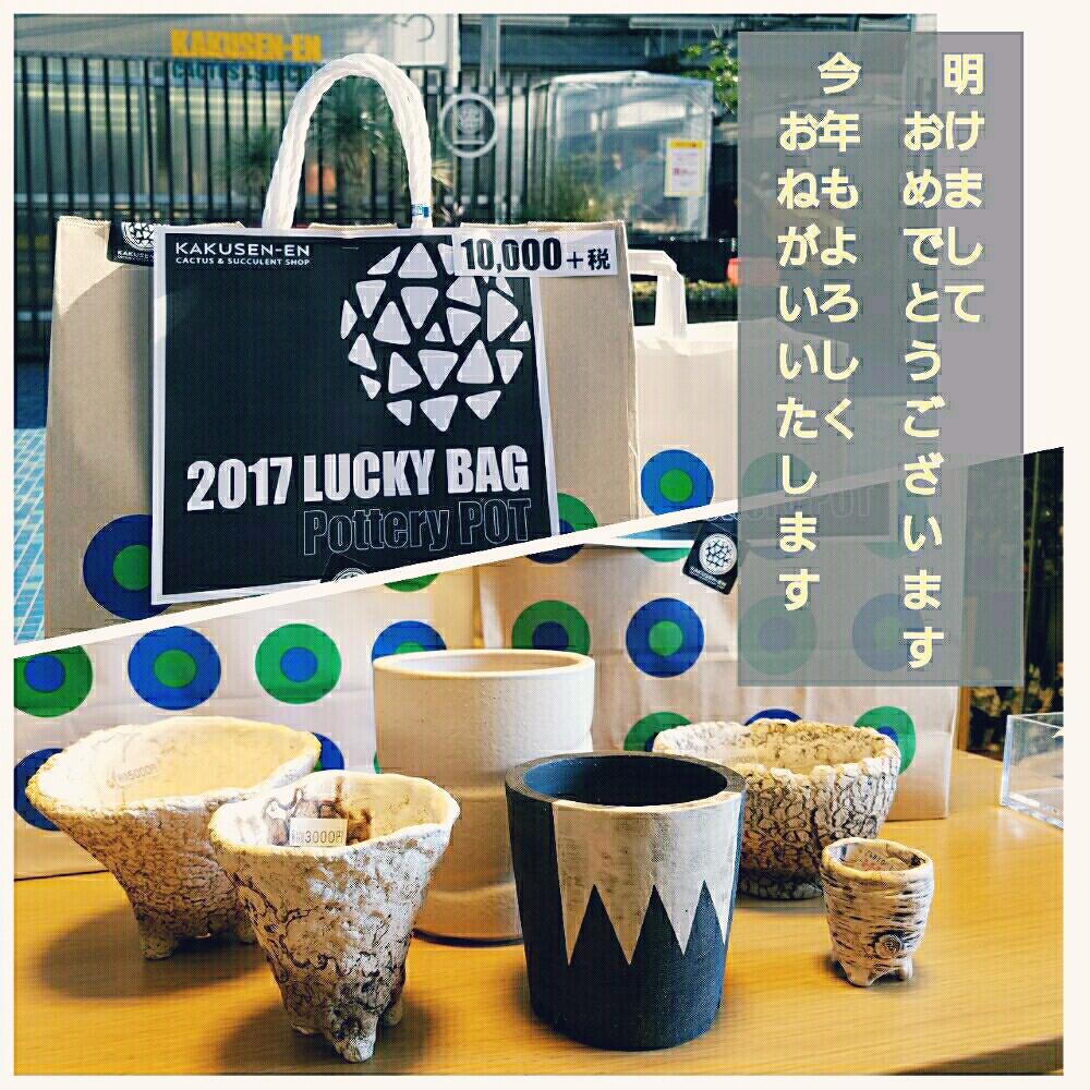正規品 invisible ink インビジブルインク 鶴仙園鉢