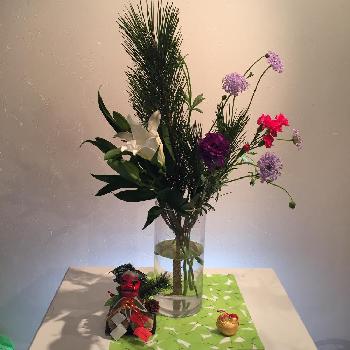 枝若松の画像 by luluknightさん | 部屋とスプレーカーネとブルーレースフラワーとトルコキキョウとカサブランカと枝若松と花のある暮らしと日本の伝統とお正月