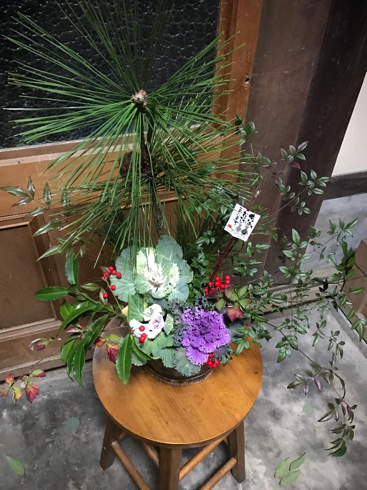 玄関の投稿画像 By もものすけさん お正月飾り コンテストと正月飾り初挑戦と お正月飾り コンテストと正月飾り初挑戦 17月1月2日 Greensnap グリーンスナップ Greensnap グリーンスナップ