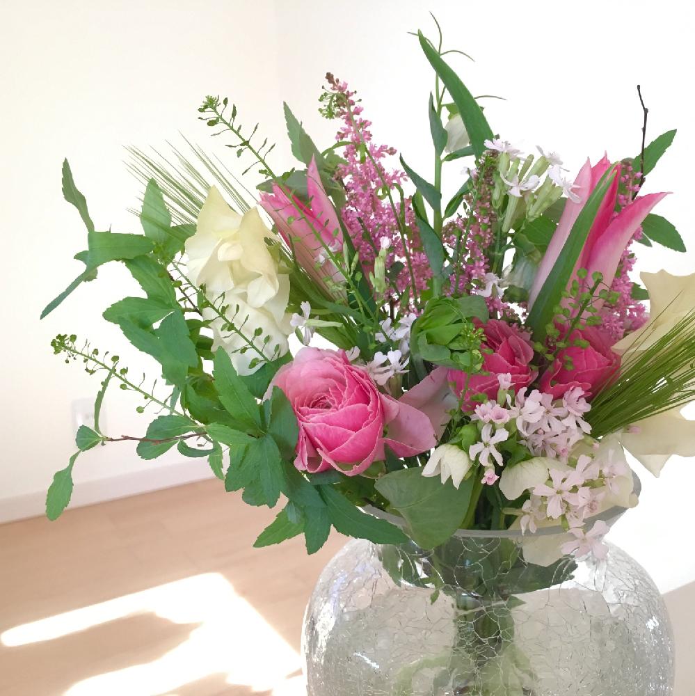 コデマリの投稿画像 By Hiromiさん えんどう豆とアスチルべとナズナとシレネ 桜小町とチューリップとスイートピーとラナンキュラスと生花とブーケとナチュラルスタイルとフラワーアレンジメントと切り花と春を感じる花 17月1月17日 Greensnap グリーンスナップ