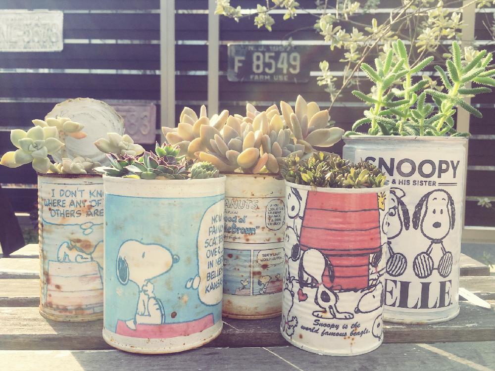 SOLD OUT m(__)m　木モチーフ　リメイク缶　3個セット SOLD OUT m(__)m 木モチーフ リメイク缶 3個セット SOLD OUT m(__)m 木