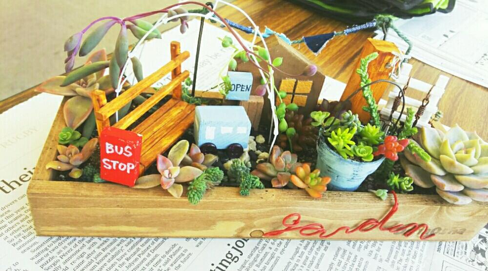手作りの投稿画像 By Oshaoshaさん 多肉植物と小さな箱庭と多肉箱庭と寄せ植えと手作り雑貨と多肉植物寄せ植えとワイヤークラフトと多肉 箱庭とちまちま寄せ 17月1月28日 Greensnap グリーンスナップ