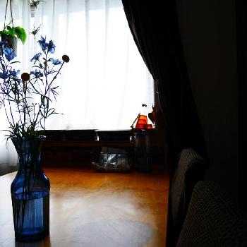 花瓶・フラワーベースの画像