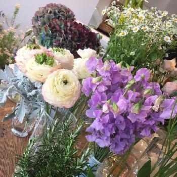 花屋の店先の投稿画像一覧 Greensnap グリーンスナップ