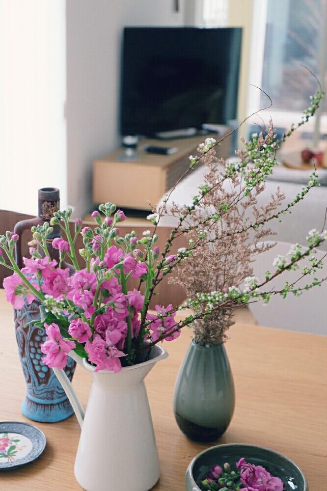 八重咲きストックの投稿画像 By Ricefishさん ユキヤナギと ユキヤナギとダイニングと花瓶と植中毒と今日の一枚と花のある暮らし 17月3月15日 Greensnap グリーンスナップ