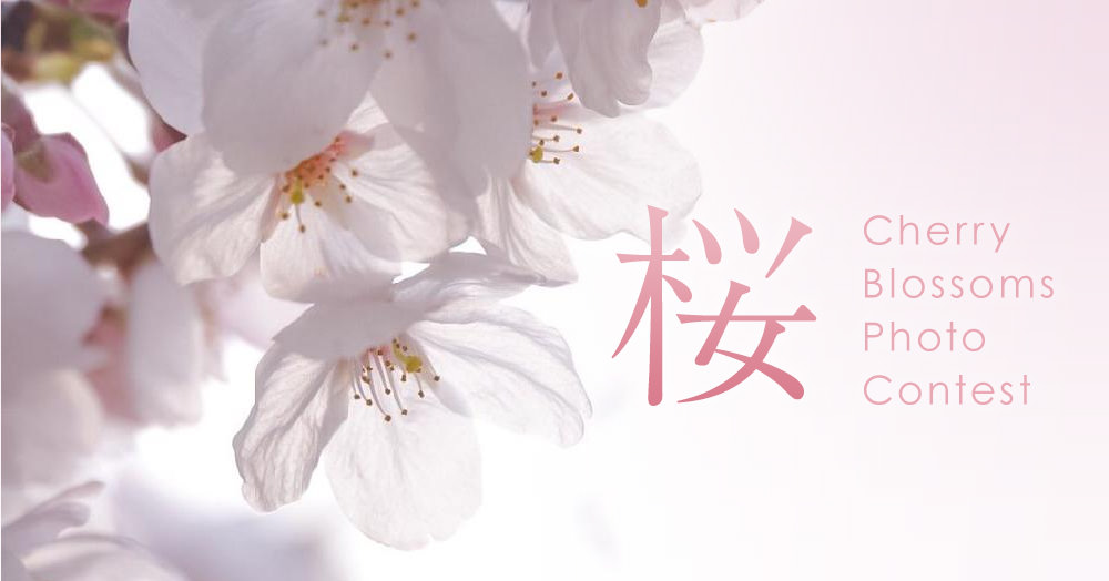 『桜』フォトコンテスト