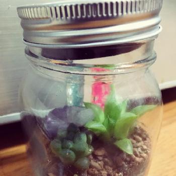 メイソンジャーの投稿画像一覧 Greensnap グリーンスナップ