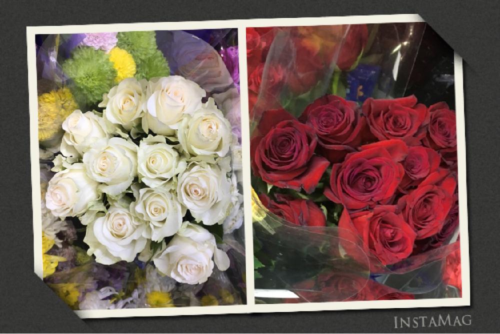 バラの投稿画像 By Rmamaさん お出かけ先と開花と生花とおでかけ先と可愛いとお花と色合いがキレイとコストコと花束と開花と生花 とおでかけ先と可愛いとお花と色合いがキレイとコストコと花束 17月3月26日 Greensnap グリーンスナップ Greensnap グリーン バラの投稿画像 By Rmamaさん お出かけ先と開花と生花とおでかけ先と可愛いとお花と色合いがキレイとコストコと花束と開花と生花 とおでかけ先と可愛いとお花と色合いがキレイとコストコと花束 17月3月26日 Greensnap グリーンスナップ Greensnap グリーン