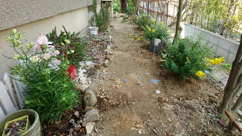 植物いろいろの投稿画像 By Kawokawoさん ルビーネックレスとエニシダとデルフィニウム サクラヒメとヒメエニシダとミニミニ花壇と小さな花壇とお花好きと北側外構 17月3月30日 Greensnap グリーンスナップ