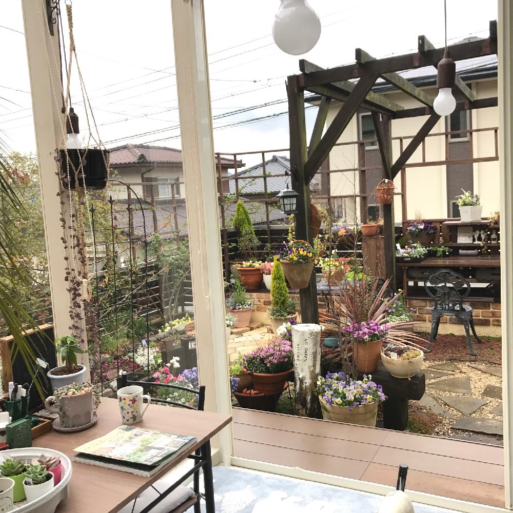 多肉植物の投稿画像 By Amiさん 植物のある暮らしとテーブルdiyとガーデンルームと手作りの庭と花壇diyと 植物と暮らす コンテストとパーゴラ Diyとガーデニングと花のある暮らしとami S Gardenと雨の日だって楽しいと雨の庭と雨の日とdiy Handmadeコンテスト 17月4