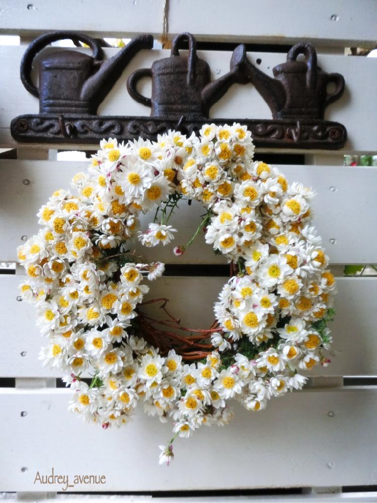 ハナカンザシの投稿画像 By Audreyさん ペーパーカスケードとドラゴンヤナギと手作りとキュンキュン乙女倶楽部とナチュラルガーデンとキュンキュン乙女倶楽部no 34と今日の一枚と自己流と リースとdiyとナチュラルスタイルと花のある暮らしと雑貨好き と大人かわいい と