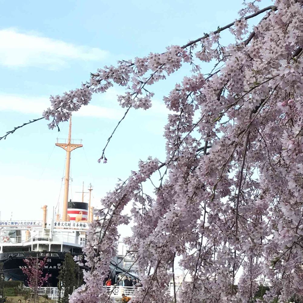 amiさんの山下公園への投稿