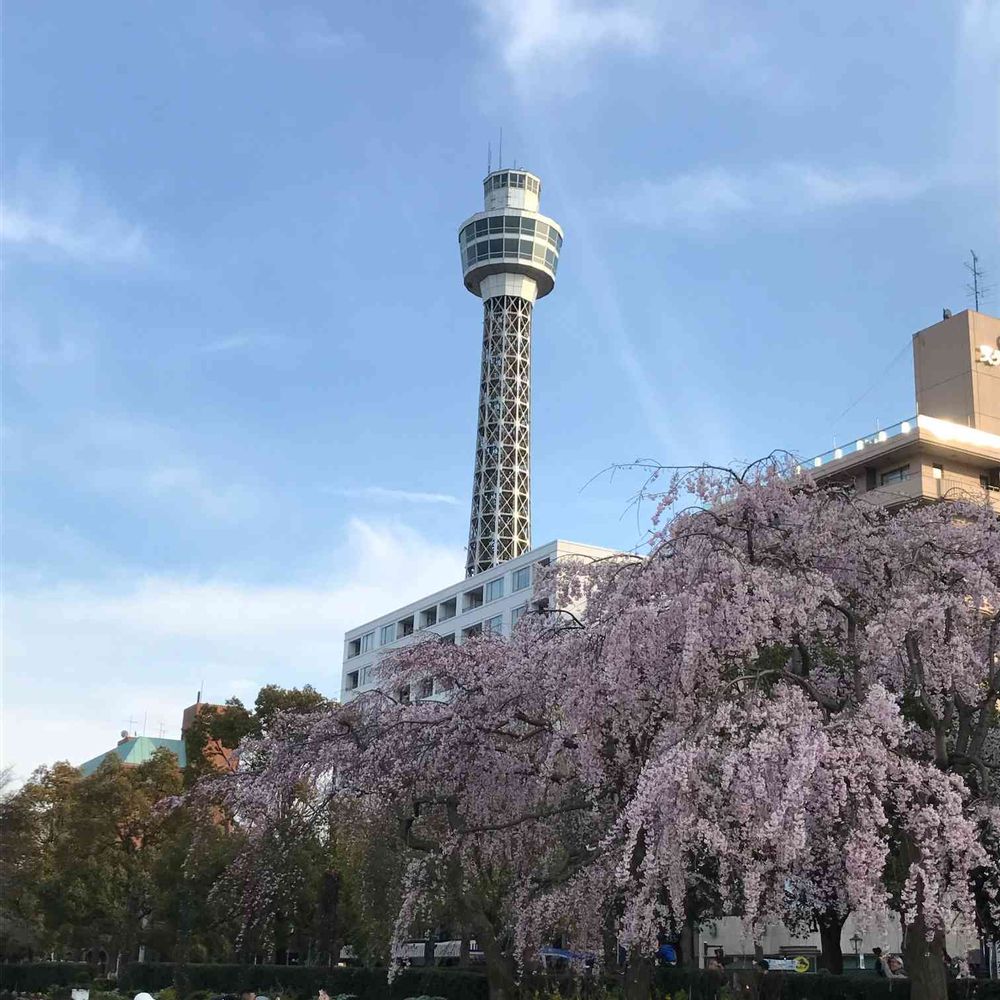 amiさんの山下公園への投稿