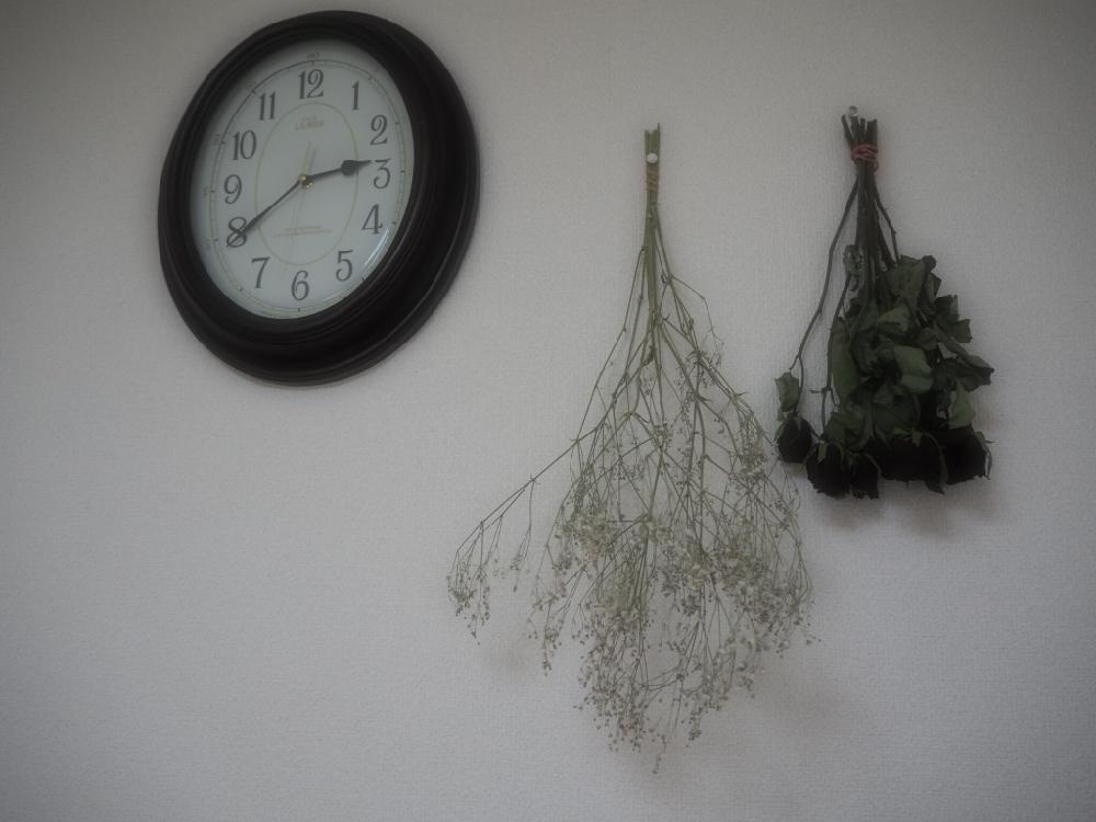 インテリアの投稿画像 By とめこさん 17月4月9日 Greensnap グリーンスナップ