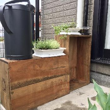 ワイン箱リメイクの投稿画像一覧 Greensnap グリーンスナップ