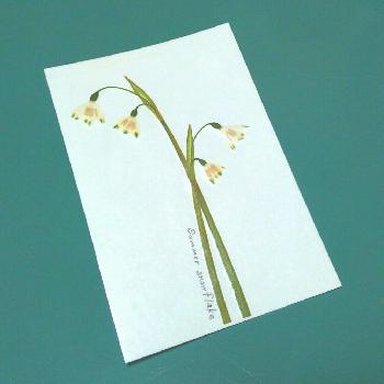 ポストカードの投稿画像一覧 Greensnap グリーンスナップ