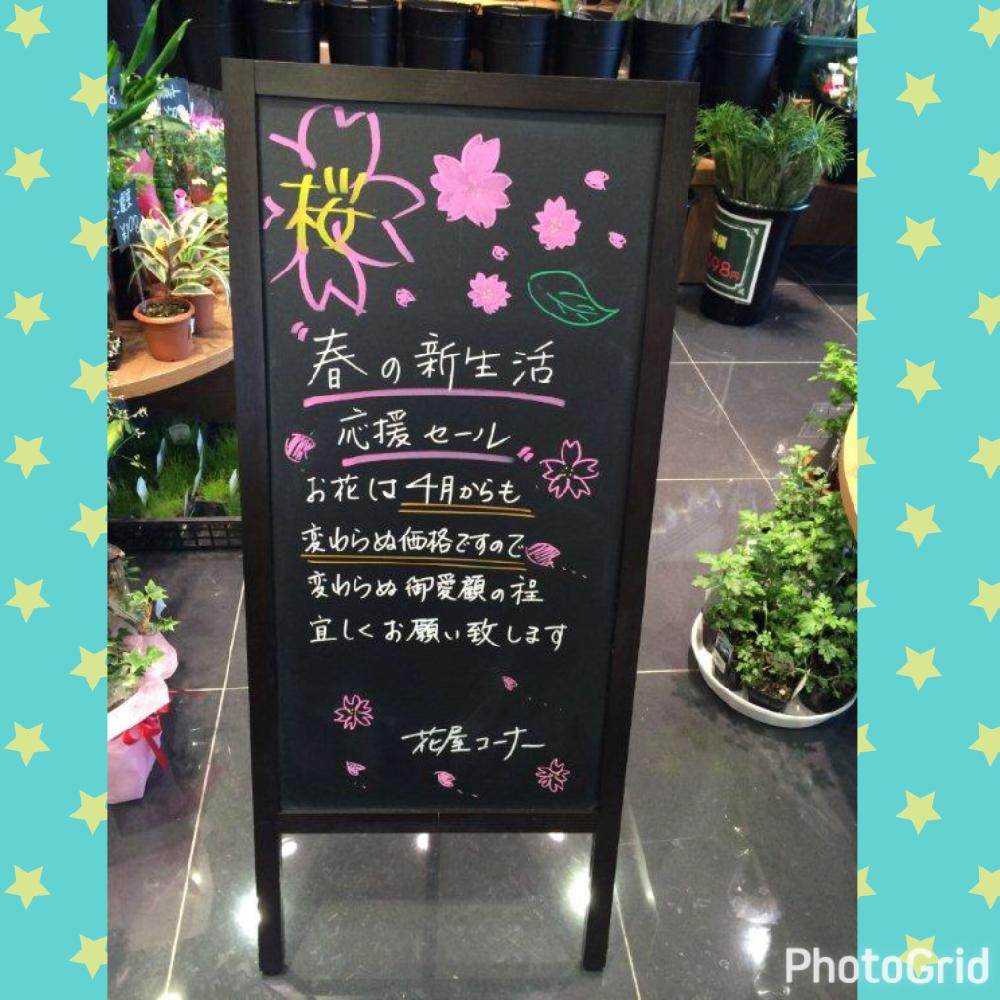 お花屋さんの投稿画像 By 田村みかん さん 四月と看板とpop 17月4月17日 Greensnap グリーンスナップ
