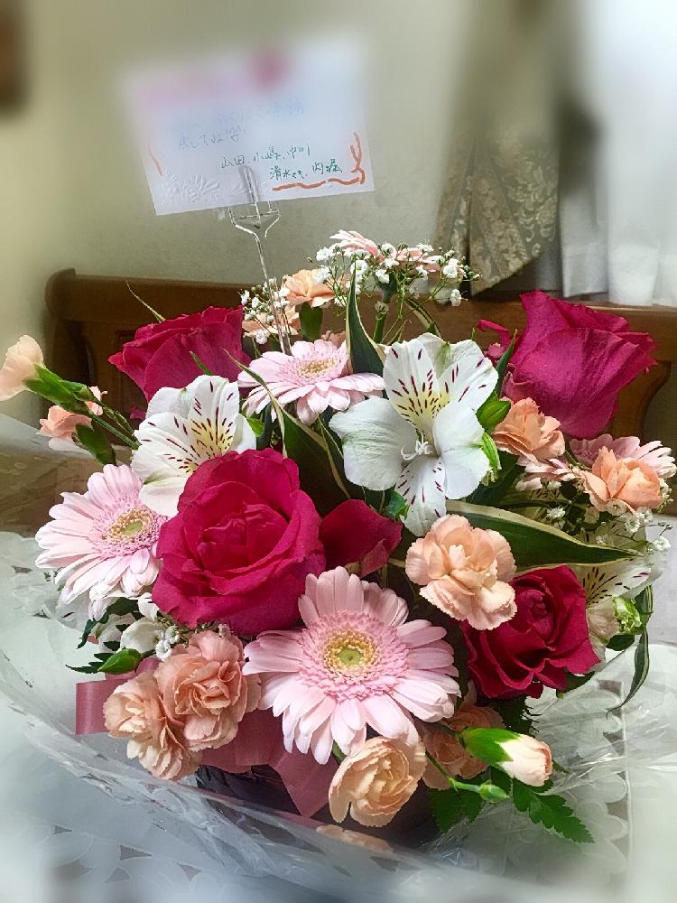 退院祝いの投稿画像 By ノブリンさん 今日のお花と今日の一枚とフラワーアレンジメント 17月4月17日 Greensnap グリーンスナップ