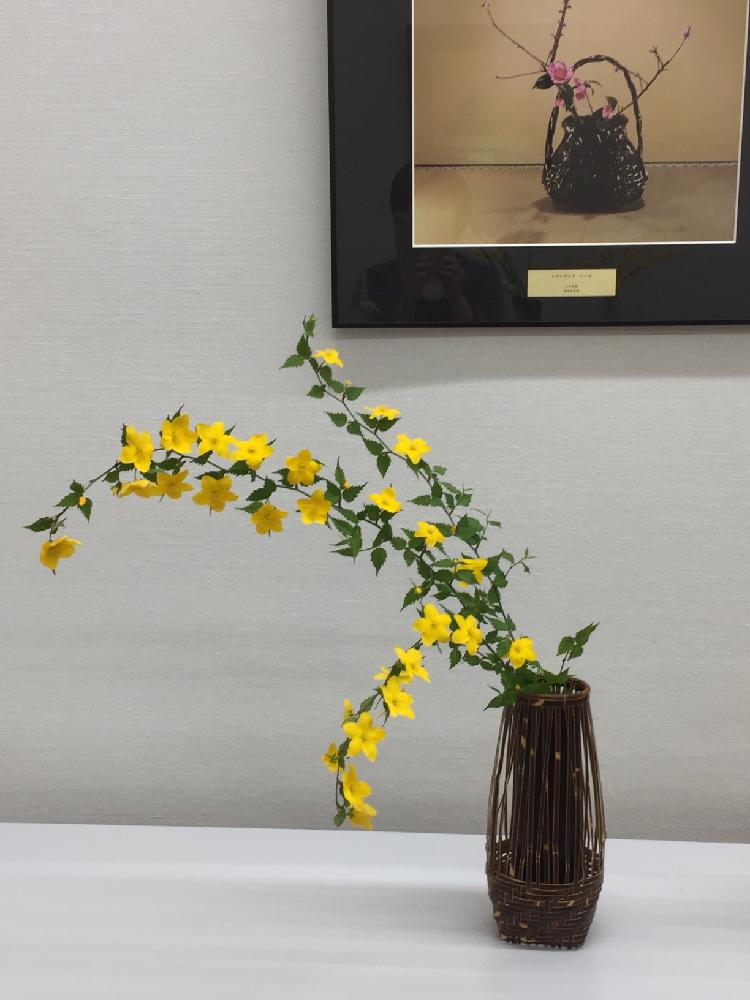 ヤマブキの投稿画像 By まるちゃん 湯河原 さん 大自然の中で と大自然とありがとうといけばなと花のある暮らしとヤマブキ となげいれと花留め無しとオアシス無し 17月4月19日 Greensnap グリーンスナップ