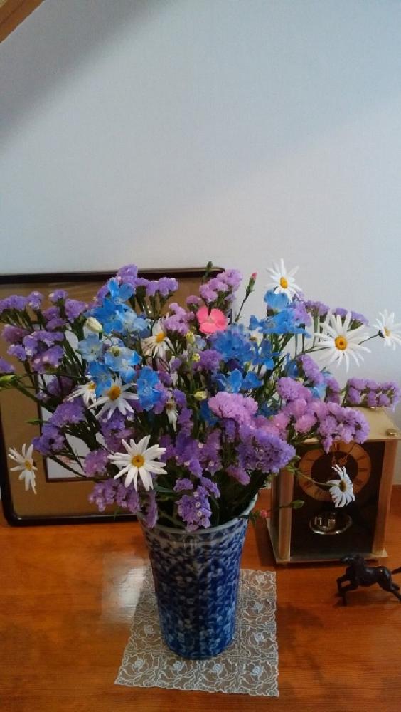 スターチースの投稿画像 By Yuki Kirakiraさん デルフィニウム マリンブルーとナデシコ科 と投げ入れと花束風と青い花と今日のお花と紫の花とかわいい花 17月4月24日 Greensnap グリーンスナップ