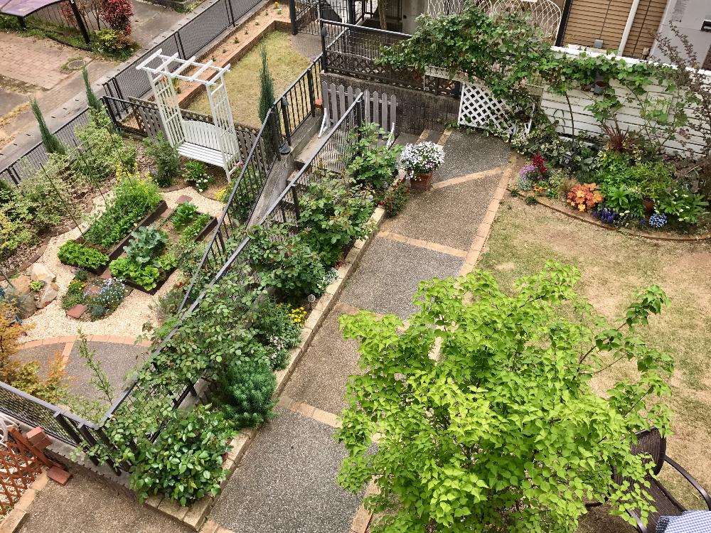 家庭菜園の投稿画像 By Mikoさん キッチンガーデンと庭のブルーベリーとナチュラルガーデンとポタジェとフロントガーデンとバラを楽しむと庭全景 2017月4月25日 Greensnap グリーンスナップ