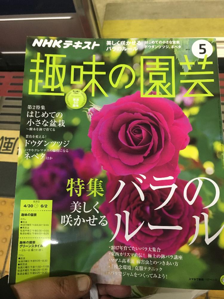 Nhk趣味の園芸の投稿画像 By Rmamaさん ロザリアン入門と植中毒と雑誌とロザリアン 17月4月27日 Greensnap グリーンスナップ