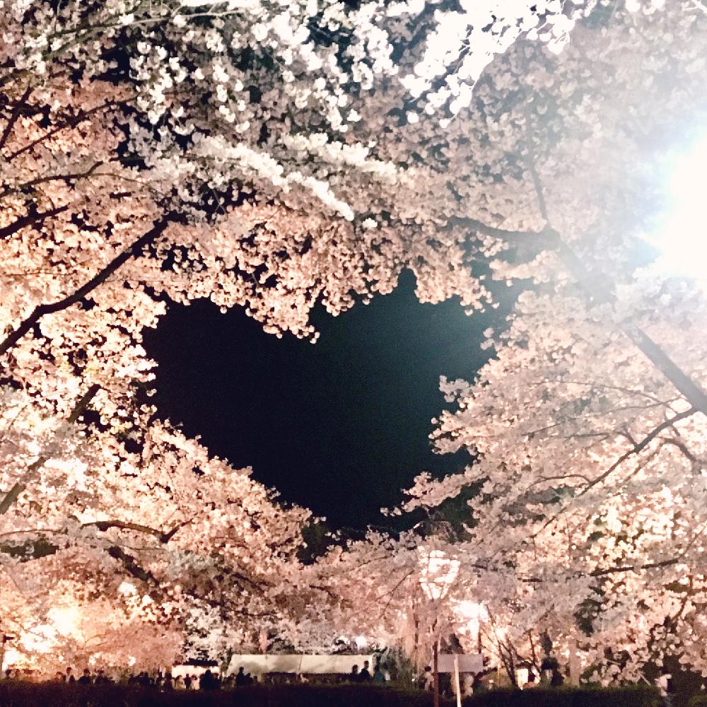 ハートの形の投稿画像 By Novemberjoeさん 弘前公園と弘前公園桜祭りとさくら 桜 サクラと今日のお花と 桜 コンテスト 2017月4月28日 Greensnap グリーンスナップ