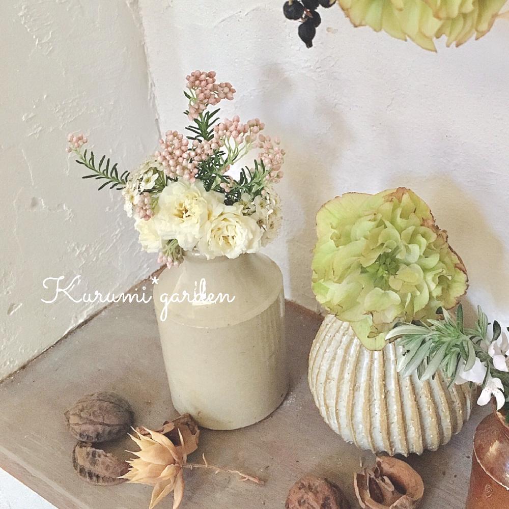 モッコウバラの投稿画像 By くるみ さん ライスフラワーとネオシホのうつわ 朔と八重咲きクリスマスローズとhtcとドライフラワーと白モッコウバラ と ニッチに飾るとno Green No Lifeとdiyニッチとニッチとナチュラルスタイルと漆喰と玄関ニッチ 17月5月3日