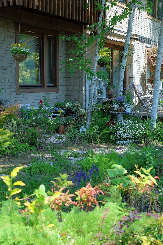 カラーリーフの投稿画像 By Necoさん ガーデンとグリーンのある暮らしと憧れの庭と青い花と植中毒とガーデニングと花のある暮らしと白い花とカフェ ガーデン 17月5月5日 Greensnap グリーンスナップ