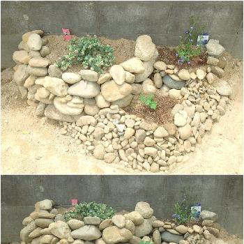 石積みの投稿画像一覧 Greensnap グリーンスナップ