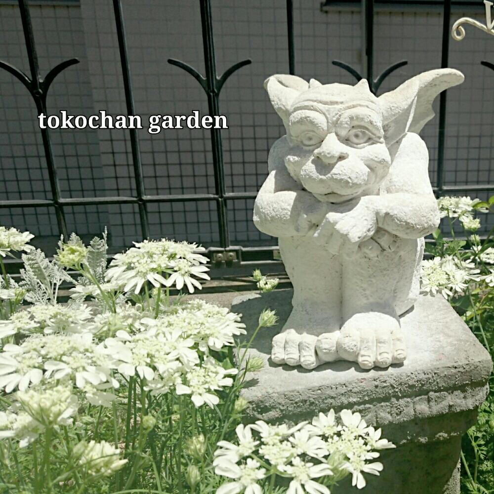 ガーデン雑貨の投稿画像 By Tokochan Styleさん 手作り花壇 コンテストとオブジェと雑貨とガーデニングとガーゴイルと地植え 17月5月8日 Greensnap グリーンスナップ