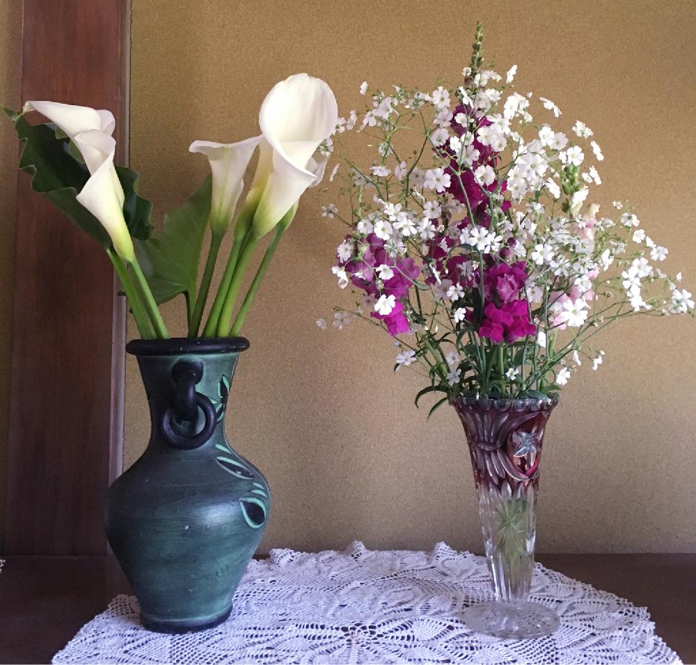 かすみ草の投稿画像 By うなぎさん キンギョソウとカラーと今日のお花とカスミソウ とカラー 切り花 と植中毒とキンギョソウ と花瓶の花と可愛いピンク色 とピンクの花と美しいと花のある暮らしと白い花とかわいいな 17月5月11日 Greensnap グリーン