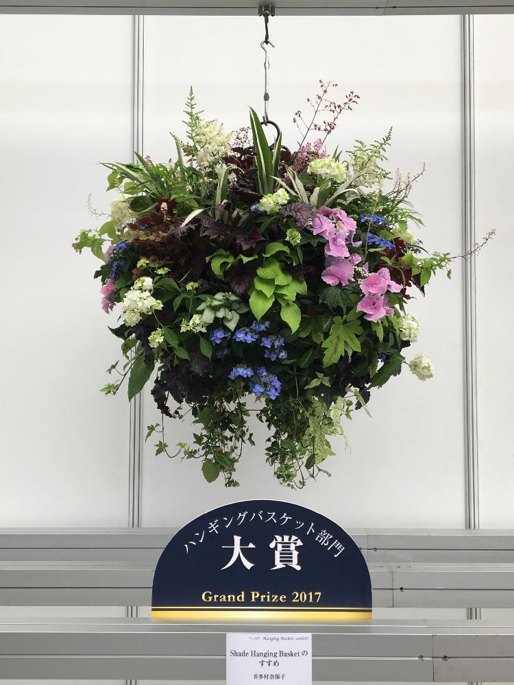 ハンキングの投稿画像 By ヒューケラさん ハンギングバスケットと今日のお花と国際バラとガーデニングショウ17 17月5月13日 Greensnap グリーンスナップ