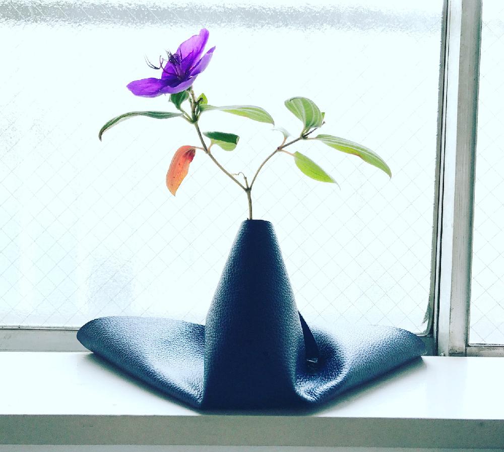 インテリアの投稿画像 By Maoさん 革で花瓶とお花とおもと鉢とガラスと革で花瓶とお花とおもと鉢とガラス 17月5月15日 Greensnap グリーンスナップ Greensnap グリーンスナップ