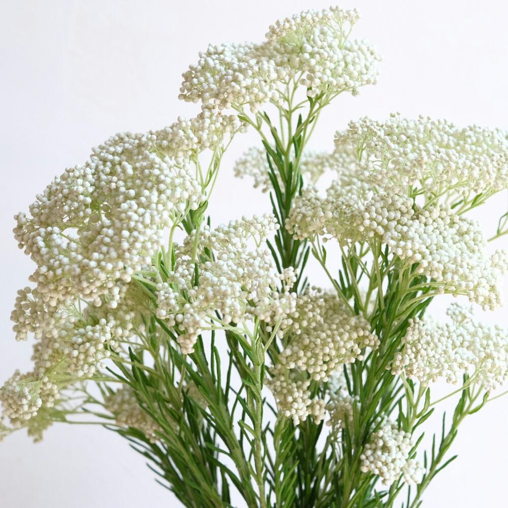 すべての美しい花の画像 無料ダウンロード切り花 白い 小花