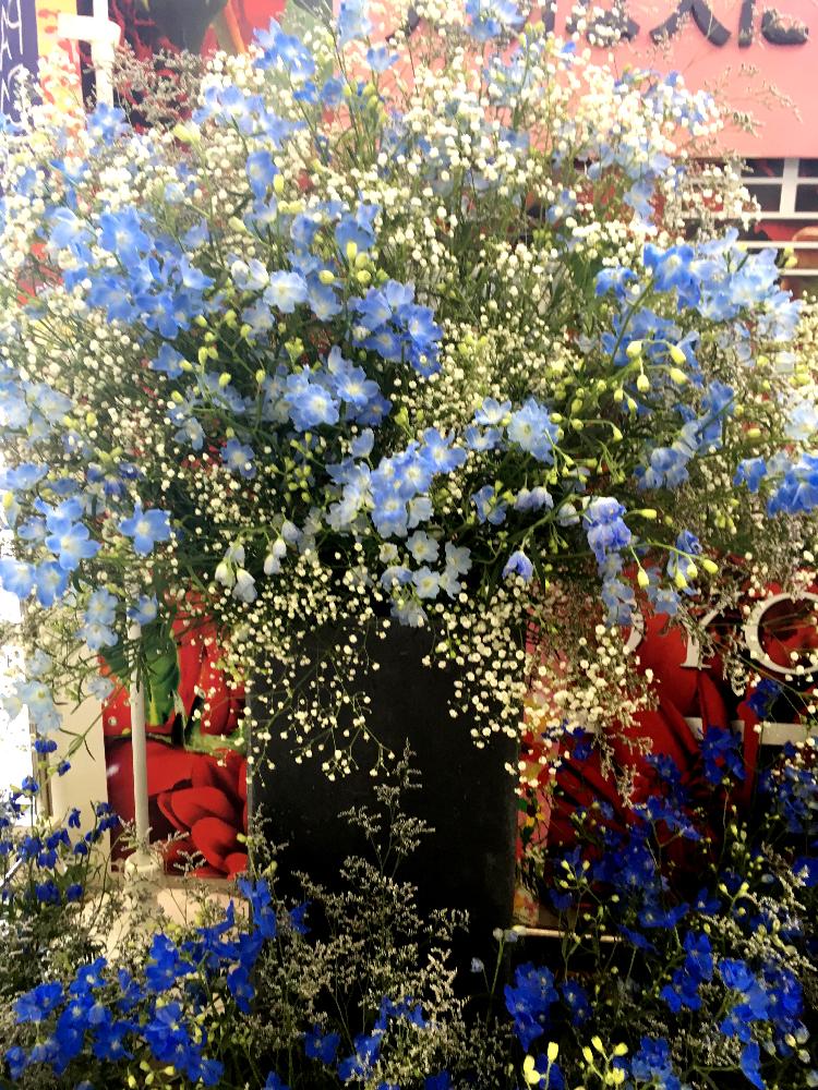 かすみ草の投稿画像 By うなぎさん デルフィニウムとカスミソウ と植中毒と今日のお花と白い花とデルフィニウム青と美しいと花のある暮らし 17月5月18日 Greensnap グリーンスナップ