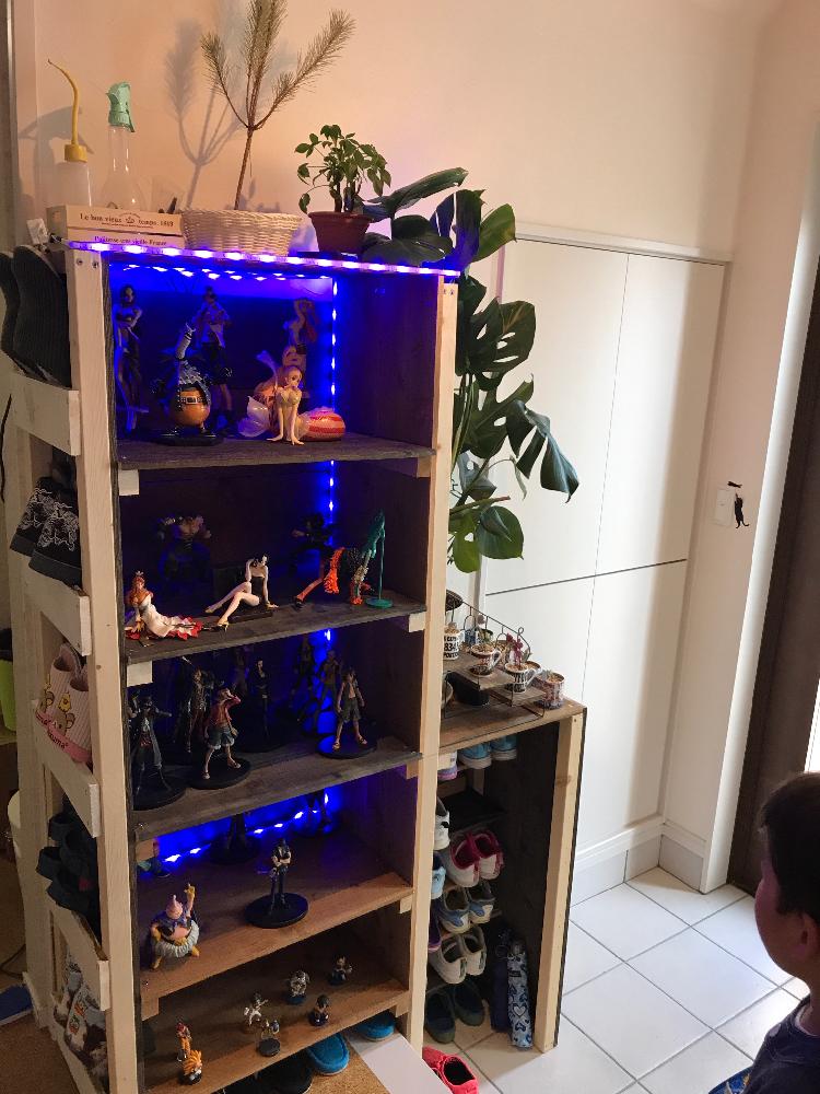 フィギュアの投稿画像 By Reateさん 我が家の多肉植物と自作と我が家の多肉植物置場と我が家のガーデニングとdiy 17月5月19日 Greensnap グリーンスナップ