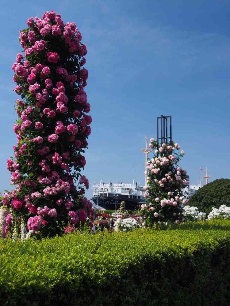 季節の風さんの山下公園への投稿