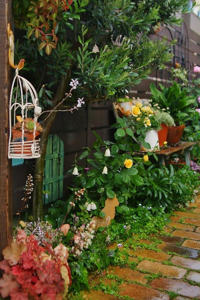 手作り花壇 コンテストの投稿画像 By Haiziさん ナチュラルスタイルと花壇とシェードガーデン 17月5月24日 Greensnap グリーンスナップ